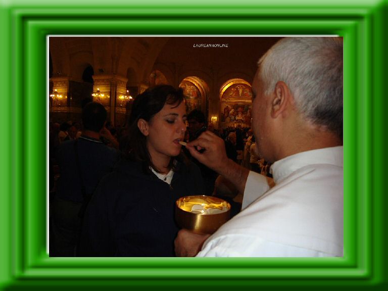 Lourdes 2009 372.jpg